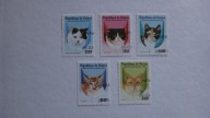 Gwinea 1998, Koty domowe, zwierzęta,, fauna