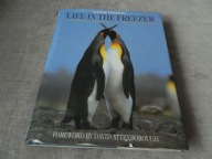 Life In The Freezer ,David Attenborough