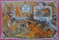 T.0350*B BLOCZEK FAUNA SSAKI DRAPIEŻNE TYGRYS BENGALSKI zwierzęta egzotyczn