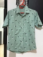 6 Haas łagodna zieleń oryginalne pióra ptaków kieszeń kieszeń M