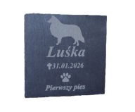 Personalizowany nagrobek dla psa z łupku 10x10 cm PIES NAGROBEK