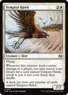 Karta Magic: The Gathering Tempest Hawk TDM