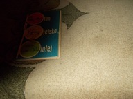 Bielsko-Biała stary plan miasta autobusy