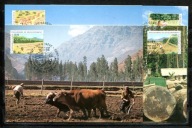 A56433)UNO Genf: Maksimum Karta 138 - 141, Natura