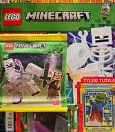 LEGO MINECRAFT 10 / 2025