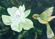 Obraz kwiaty koliber prezent 35x25 / 75 Patryk Mit