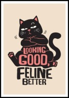 A2 ŚMIESZNY PLAKAT Z CZARNYM KOTEM KOT, HUMOR, LOOKING GOOD FELINE BETTER