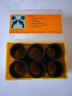 BAJKA RZUTNIK ANIA - ZORRO - KOMPLETNA SERIA 6 CZĘŚCI