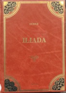 Iliada - Homer