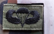 Naszywka US Army BASIC używana na mundur BDU
