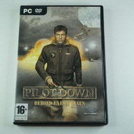 Pilot Down Behind Enemy Lines PC