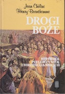 Drogi Boże. Historia pielgrzymek Henry Branthomme, Jean Chelini