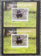 Folder Nowodruki A+B Ptaki Polskich Parków Szpak NUMER