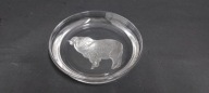 Patera Paterka Hoya Cristal Baran design