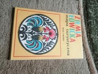 Ziemia Łowicka Łowicz Sochaczew Skierniewice Głowno Żychlin plany miast