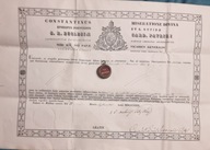 Relikwia relikwiarz św. Franciszek Ksawery