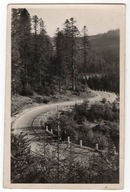 Wisła. Droga na Kubalonkę. Fot. Tad. Kubisz, Cieszyn 1945r.