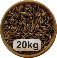 Owies Czarny 20kg, 2025r