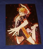 Plakat Haikyuu Hinata Shoyo plakat anime Metalowy Displey