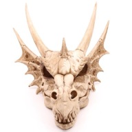 Smocza czaszka - DUŻA!!! dragon