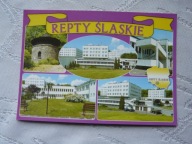 TARNOWSKIE GÓRY REPTY ŚLĄSKIE