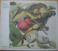 INDIAN DRAWINGS OF PLANTS & ANIMALS -katalog wystawy -j.angielski