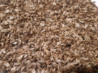 Lubczyk Ogrodowy Nasiona Naturalne 1g