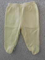 Półśpiochy 3-6 msc