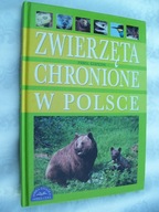 Zwierzęta Chronione w Polsce - Czapczyk