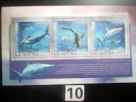 Ryby , rekiny , Guinee , MNH