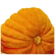 DYNIA OLBRZYMIA ATLANTIC GIANT - OWOCE DO 500 KG - NASIONA ***