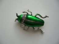 BROSZKA ŻUK CHRABĄSZCZ OWAD