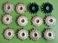 NICI GRUSCHWITZ NEUSALZ ( NOWA SÓL ) WH