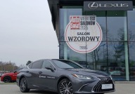 Lexus ES ES 300h Business Edition FV23 Salon PL ASO Demo 1 wl.