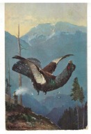 04-AU71- Łowiectwo- Polowanie na Głuszca, 1910-20r