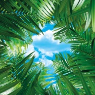 Obraz, plakat 50x50cm - Zieleń i chmury