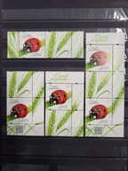 5378 komplet 4 pw** 2024 Owady Biedronka