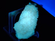 Złoty Kalcyt - Mocna Fluorescencja i Fosforescencja | kop. Stare Gliny