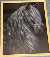 33. Obraz Koń na czarnym tle akryl na płótnie 44x53 Dagmara Ivonow