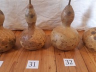 Tykwa Owoc Zdrewniały