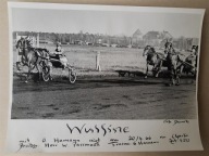 koń hippika Berlin Drowski 1966 duża [28a]