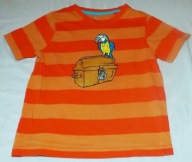 Bluzka T-shirt pirat Lupilu 110-116 Tv