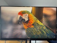 Monitor LED MSI MP242P 23,8 " 1920 x 1080 px IPS / PLS
