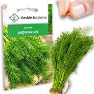 Nasiona warzyw Koper MONARCH odrastający bardzo odporny na zbiór pęczkowy