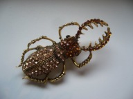 BROSZKA ŻUK CHRABĄSZCZ OWAD KRYSZTAŁKI