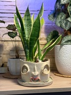 Doniczka z podstawką ręcznie wykonana