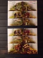 Blok Fi 242** (d. 211) kombinacje z przywieszkami (3)