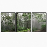 Zestaw plakatów - tryptyk las we mgle v3 3*30x40cm