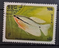 Ryby (kas) - luzak - do uzupełnień 13/3