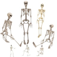 SZKIELET WISZĄCY MODEL KOŚCIOTRUP DEKORACJA NA HALLOWEEN 90CM OZDOBA DUCH